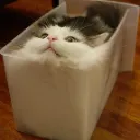docker_cat docker_cat
