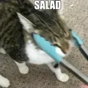 sadanzip sadanzip