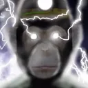 lightningchimp lightningchimp