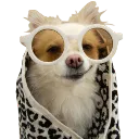 emoji_281