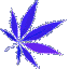 weedneonspin93