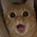 CC_Chat_Aaah2