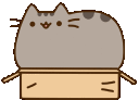 PusheenBox animated Discord emote - The Group Chat