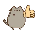 229086pusheenthumbsup