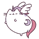3534unicornpusheen