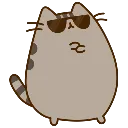 9928_cool_pusheen