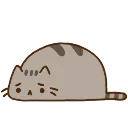 7627_sad_pusheen