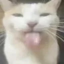 thtongue
