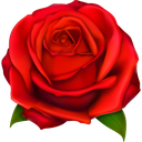 wild_rose custom emote from The Group Chat