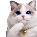 PsyCat_Think