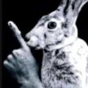 shh