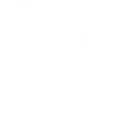D2