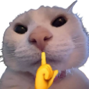 718882shh custom emote from Aura