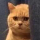 hmm Discord Emoji from Lemniscate Network