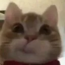 catsmirk