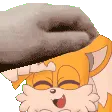TailsFluffyHeadpats