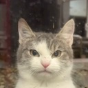 tura Discord sticker from Lemniscate Network