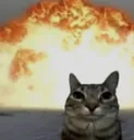 catfire