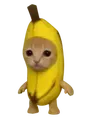 bananacat