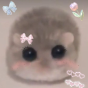 :yokuhammie: