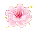 sparklyflower