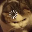 loadingcat