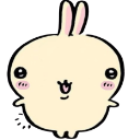 sillyusagi Discord Emoji | pndabunns 🌱 |
