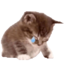 sadkiiti Discord sticker - pndabunns 🌱 |