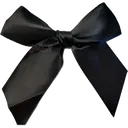 bow_trouble