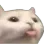 blep