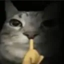 shh shh