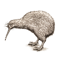 birb Discord emoji