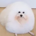 emoji_39