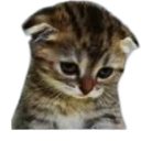:emoji_43:
