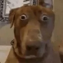 shocked
