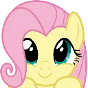 fluttershy