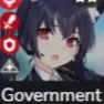 government government