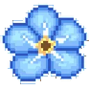 flower_blue