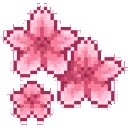 flower_pink