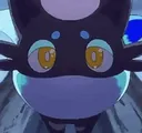 stares