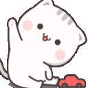 hello