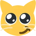 durr_cat