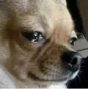 sad