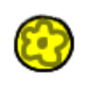:Seed: