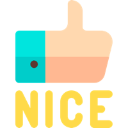 nice_vikiro Discord Emoji from 🌸VikiRO