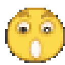 204 204