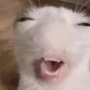 ehh ehh