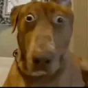 yoenlanocheacordndomede1000tarea