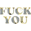fuck_you
