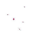 239566_magentasparklies